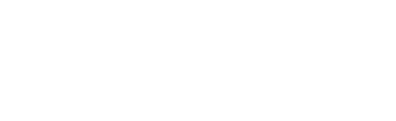 PL Logo